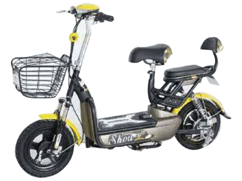 Plaudit e-Cycle I